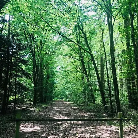 فندق مبيت وإفطار Calme Sur Terrasse - Proche Canal Nantes A Brest *