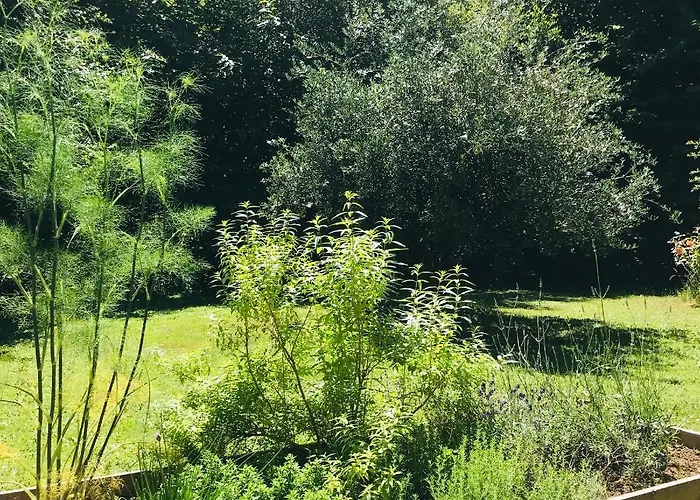 Calme Sur Terrasse - Proche Canal Nantes à Brest Bed & Breakfast Plessé